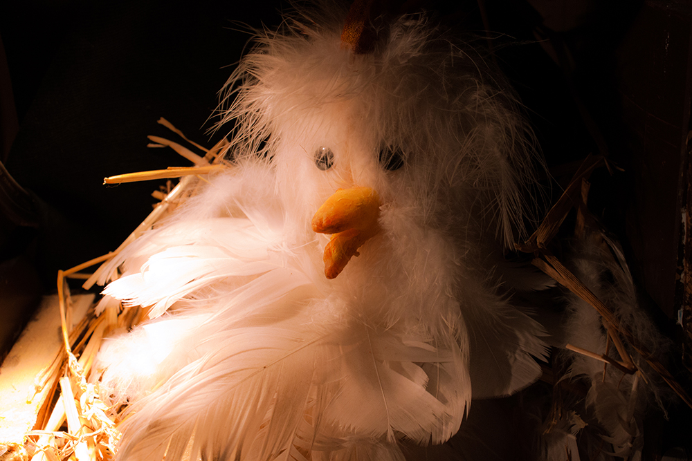Un spectacle pour les enfants des écoles à Metz